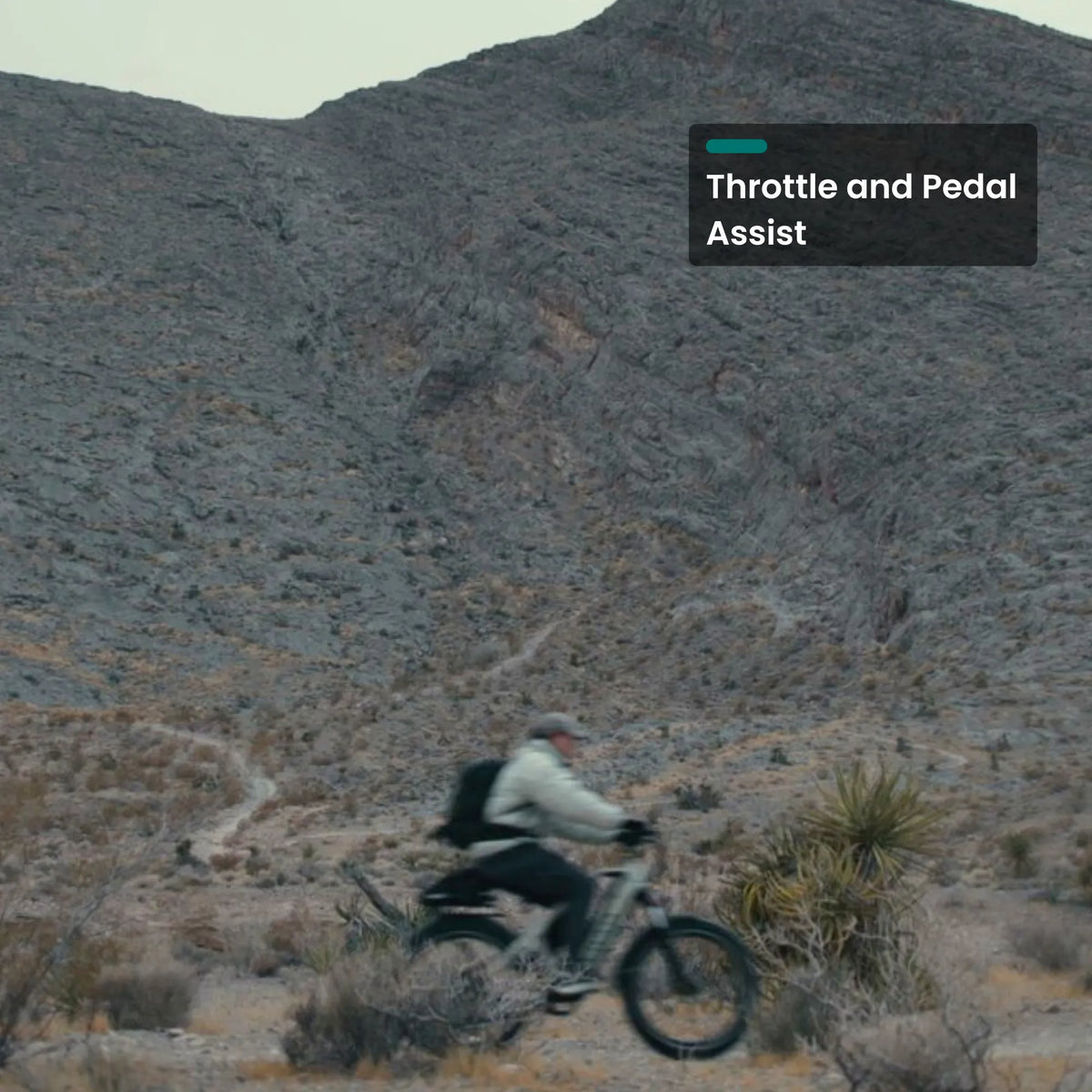 VTUVIA Gemini all-terrain electric bike outdoors with 1000W motor and wide tires