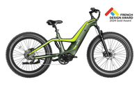 Heybike Hero carbon-fiber full-suspension fat-tire electric mountain bike with two motor configurations (1000W rear hub or 750W mid-drive with torque sensor), step-thru or step-over frame geometry, Shimano 9-speed gearing, hydraulic disc brakes, and UL 2849 certified electrical system