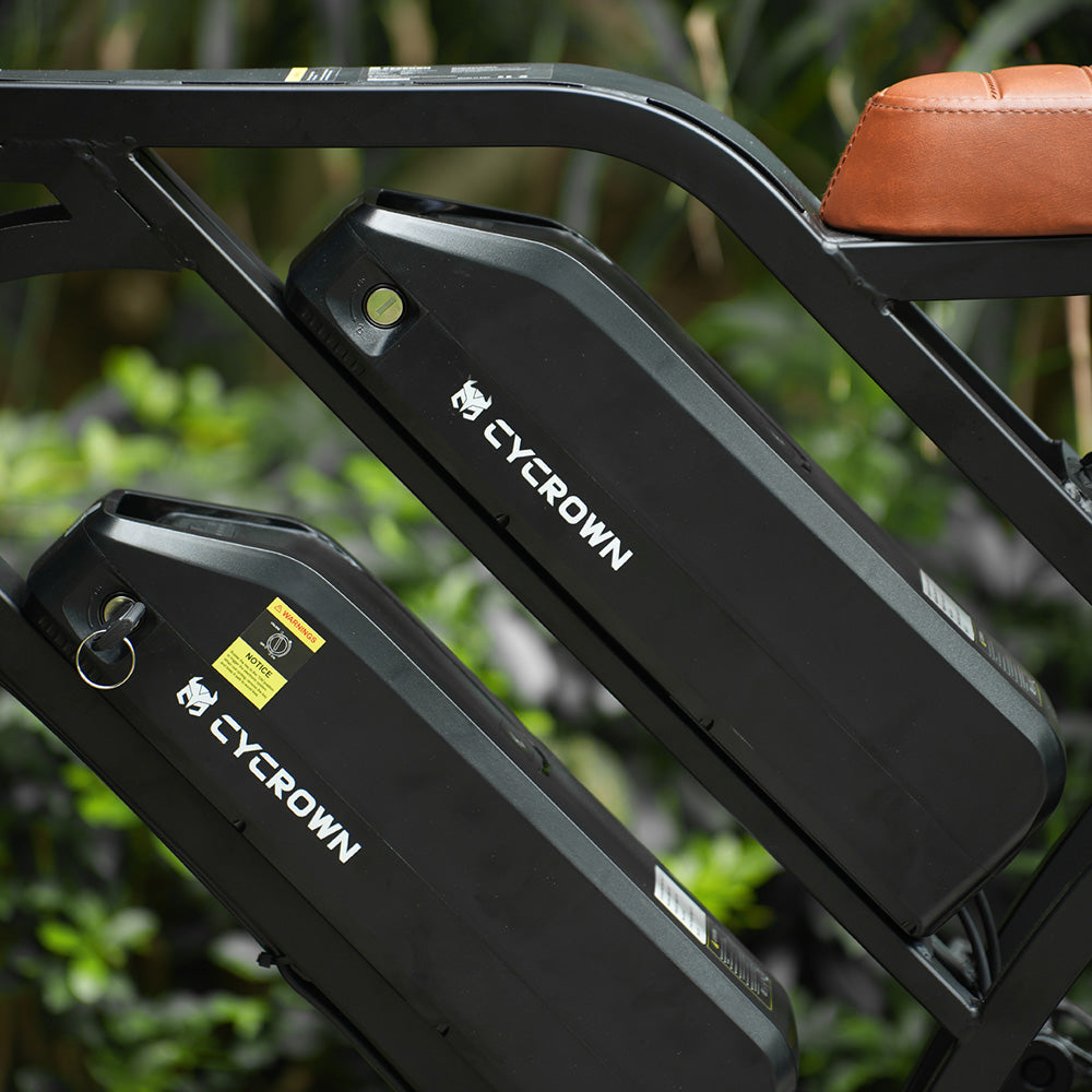 Two removable Cycrown batteries mounted inside the bike frame
