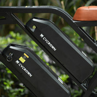Two removable Cycrown batteries mounted inside the bike frame