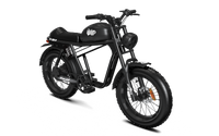 QIOLOR Tiger JR commuter electric bike in black