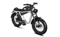 QIOLOR Tiger JR commuter electric bike in gray