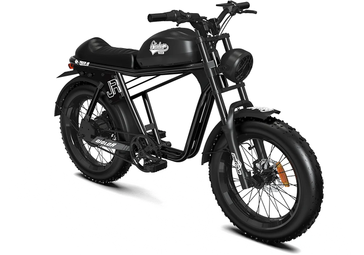 QIOLOR Tiger JR Commuter Electric Bike