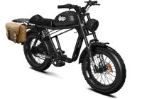 QIOLOR Tiger JR black bike with rear rack option