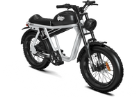 QIOLOR Tiger JR gray 20-inch fat tire profile