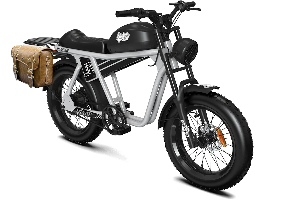QIOLOR Tiger JR gray bike with rear rack option