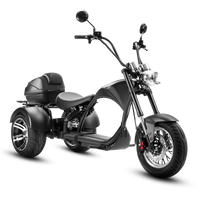 EAHORA M1P Electric Trike, official EAHORA product image 3