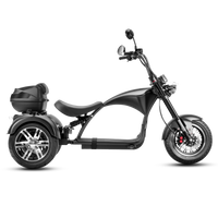 EAHORA M1P Electric Trike, official EAHORA product image 1