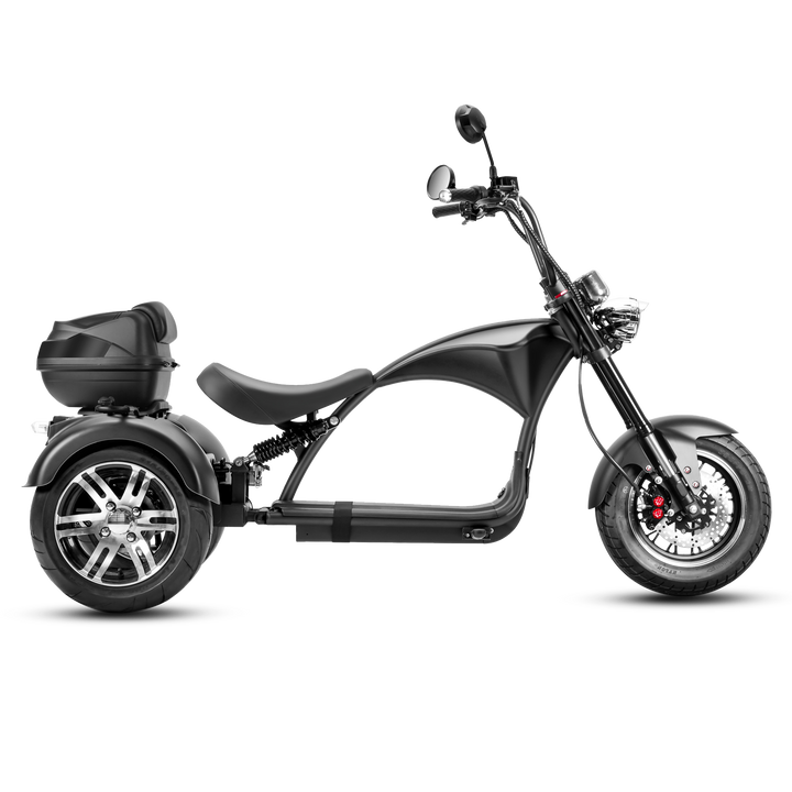 EAHORA M1P Electric Trike