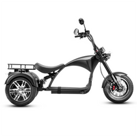 EAHORA M1P Electric Trike, official EAHORA product image 7