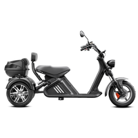 EAHORA M2 Electric Trike, official EAHORA product image 1