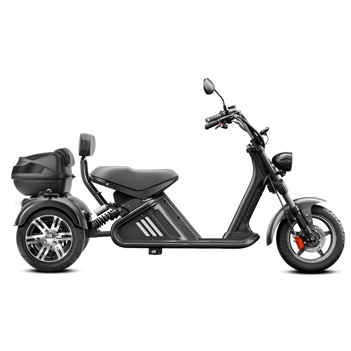 EAHORA M2 Electric Trike