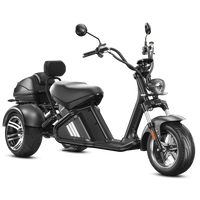 EAHORA M2 Electric Trike, official EAHORA product image 2