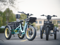 Green and blue DWMEIGI MG2301 electric trikes shown from front three-quarter angles