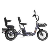 Rear three-quarter studio view of the Meet One Pair showing the rear passenger seat with armrests, the rear cargo basket platform behind the passenger seat, the rear hydraulic disc brakes, and the differential rear axle