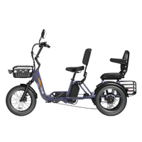 Side profile of the Deep Sea Meet One Pair showing the tandem two-seat layout with both backrests, the long frame, the front basket, the rear cargo platform, and the semi-recumbent seating geometry