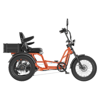 Meet One Tour Lite 2.0 full-suspension semi-recumbent electric trike with 750W rear motor, 48V 20Ah LG battery (with optional dual-battery upgrade), triple hydraulic disc brakes on all three wheels, 20 by 4.0 inch all-terrain fat tires, reinforced one-piece 6061 aluminum frame, large backrest seat, rear cargo basket, Yolin color LCD display, integrated lighting with brake-light integration, reverse mode, parking brake, 550 lb maximum load capacity, UL 2271 and UL 2849 certified by SGS
