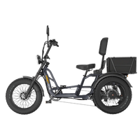 Side profile of the Gray Meet One Tour 2.0 in studio view, showing the same semi-recumbent geometry, fat tires, rear cargo basket, and front suspension as the orange variant