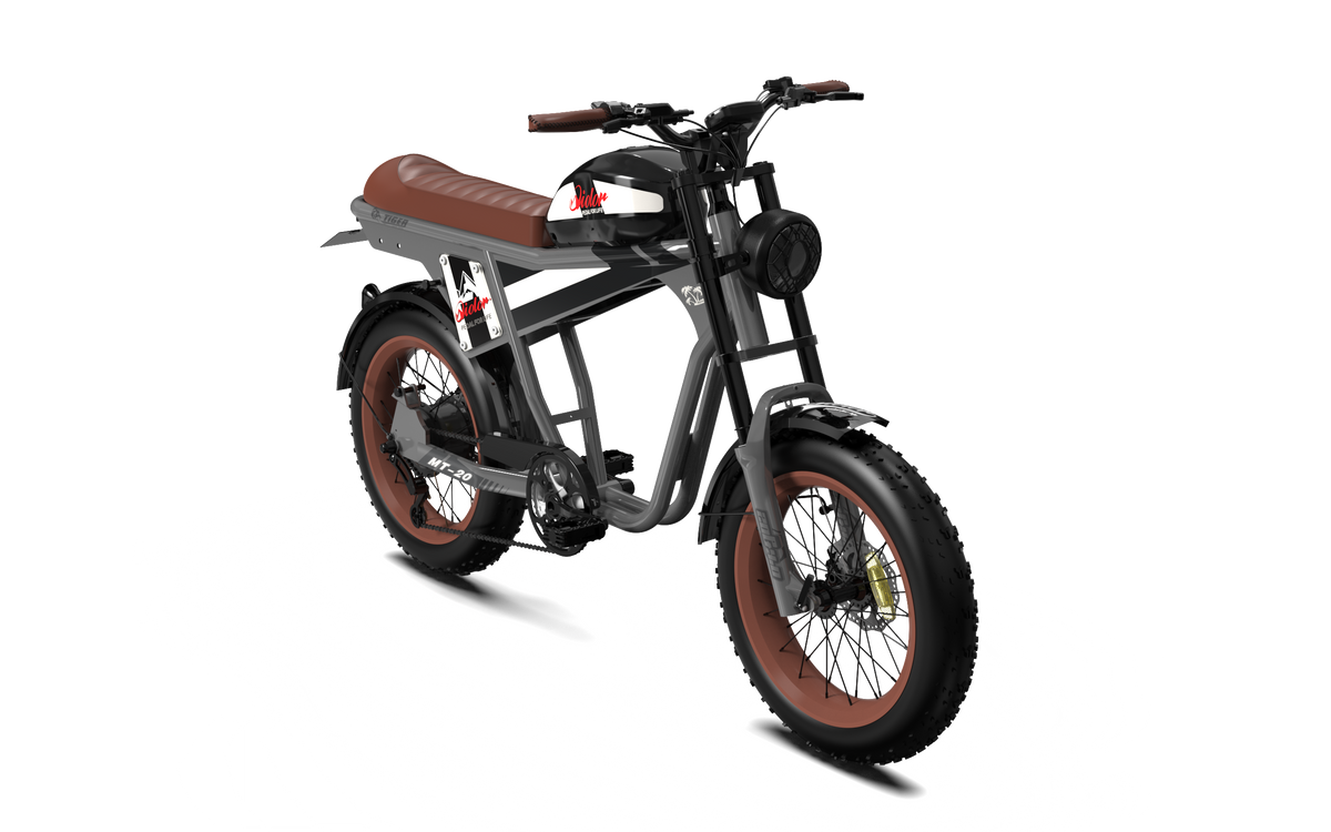 QIOLOR Tiger Plus off-road electric bike in silver