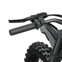 Coswheel R19 rear frame and drive-system detail