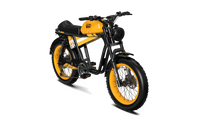 QIOLOR Tiger RE retro electric bike in tiger yellow