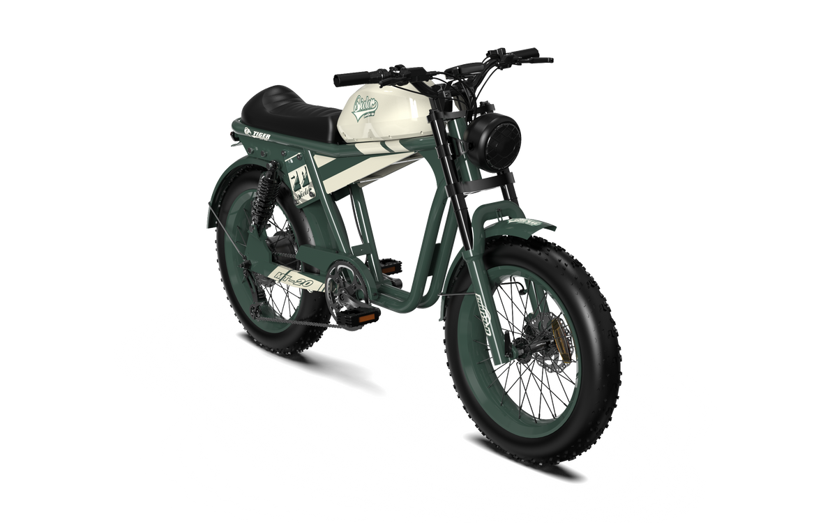 QIOLOR Tiger RE retro electric bike in green