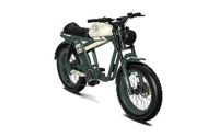 QIOLOR Tiger RE retro electric bike in green