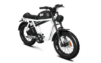 QIOLOR Tiger RL cruiser electric bike in white