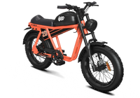 QIOLOR Tiger RL orange retro cruiser full side view for neighborhood riding