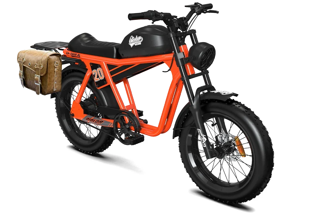 QIOLOR Tiger RL orange cruiser with rear rack and pannier cargo setup