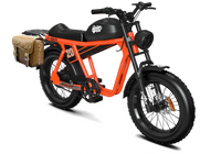 QIOLOR Tiger RL orange cruiser with rear rack and pannier cargo setup