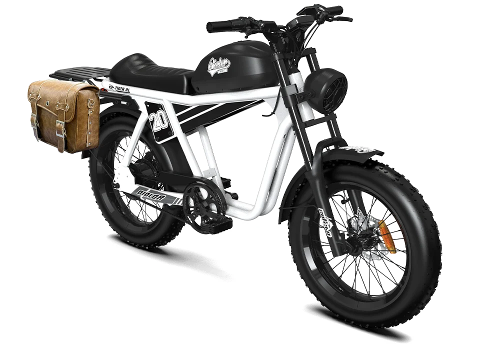 QIOLOR Tiger RL white cruiser with rear rack and pannier cargo setup