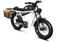 QIOLOR Tiger RL white cruiser with rear rack and pannier cargo setup