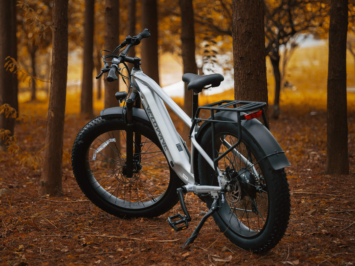 Velowave Ranger 3.0 step-over frame and fat-tire electric bike profile