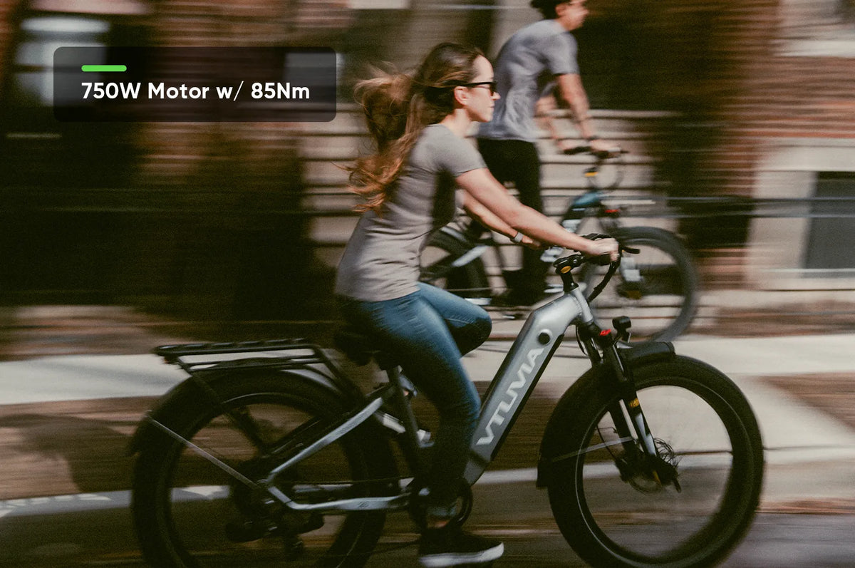 VTUVIA Reindeer 2.0 step-through electric bike profile