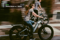 VTUVIA Reindeer 2.0 step-through electric bike profile