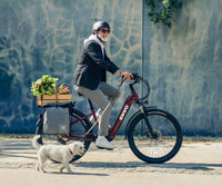 ENVO ST50 Step-Through Electric Bike official ENVO product image 8