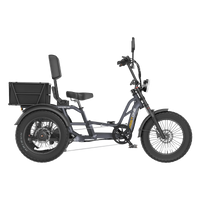 Meet One Tour Lite 2.0 full-suspension semi-recumbent electric trike with 750W rear motor, 48V 20Ah LG battery (with optional dual-battery upgrade), triple hydraulic disc brakes on all three wheels, 20 by 4.0 inch all-terrain fat tires, reinforced one-piece 6061 aluminum frame, large backrest seat, rear cargo basket, Yolin color LCD display, integrated lighting with brake-light integration, reverse mode, parking brake, 550 lb maximum load capacity, UL 2271 and UL 2849 certified by SGS
