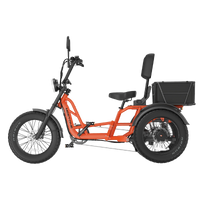 Meet One Tour Lite 2.0 full-suspension semi-recumbent electric trike with 750W rear motor, 48V 20Ah LG battery (with optional dual-battery upgrade), triple hydraulic disc brakes on all three wheels, 20 by 4.0 inch all-terrain fat tires, reinforced one-piece 6061 aluminum frame, large backrest seat, rear cargo basket, Yolin color LCD display, integrated lighting with brake-light integration, reverse mode, parking brake, 550 lb maximum load capacity, UL 2271 and UL 2849 certified by SGS