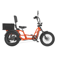 Meet One Tour Lite 2.0 full-suspension semi-recumbent electric trike with 750W rear motor, 48V 20Ah LG battery (with optional dual-battery upgrade), triple hydraulic disc brakes on all three wheels, 20 by 4.0 inch all-terrain fat tires, reinforced one-piece 6061 aluminum frame, large backrest seat, rear cargo basket, Yolin color LCD display, integrated lighting with brake-light integration, reverse mode, parking brake, 550 lb maximum load capacity, UL 2271 and UL 2849 certified by SGS