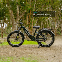 VTUVIA Reindeer 2.0 UL-certified lithium battery pack