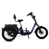 VTUVIA E-COZY low step-through frame