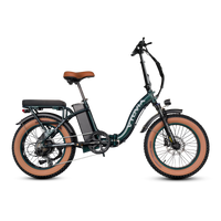 VTUVIA SF20H cargo utility e-bike product view
