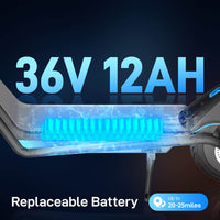 Hoverfly X5 electric scooter official product image 7