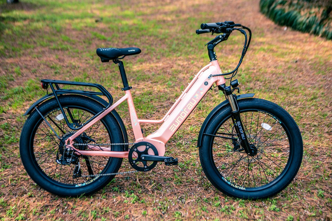 Deep Crimson META24 city e-bike opposite-side studio view