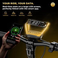 GT4 color display and isinwheel Club app showing ride controls and status data