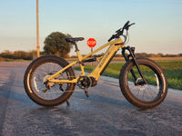 Olive Green Brawny XM parked beside a road at sunset with a stop sign behind it