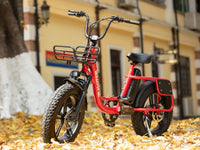 Velowave Rover Step-Thru rider-use product image