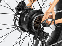 Velowave Rover Step-Thru front hydraulic-brake detail