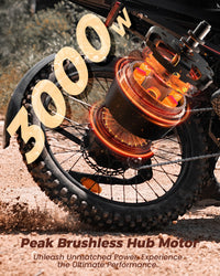 isinwheel R8 rear wheel graphic highlighting the 3000W peak brushless hub motor in the motorcycle-style rear wheel.
